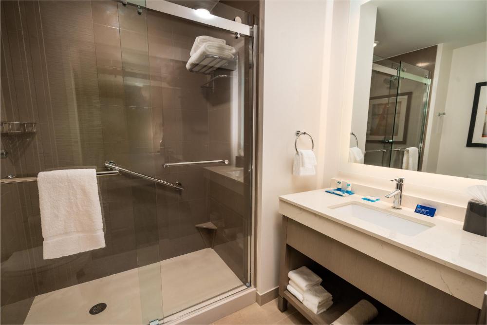 King Studio Suite with Kitchen and Sofa Bed interior